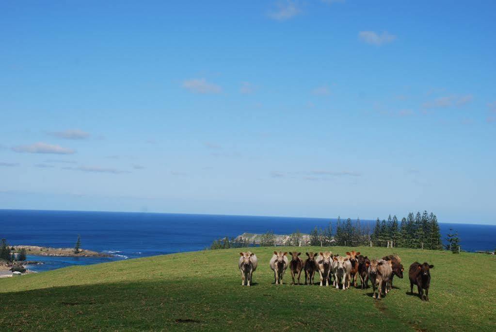 Апартаменты Coast Norfolk Island Бернт-Пайн Экстерьер фото